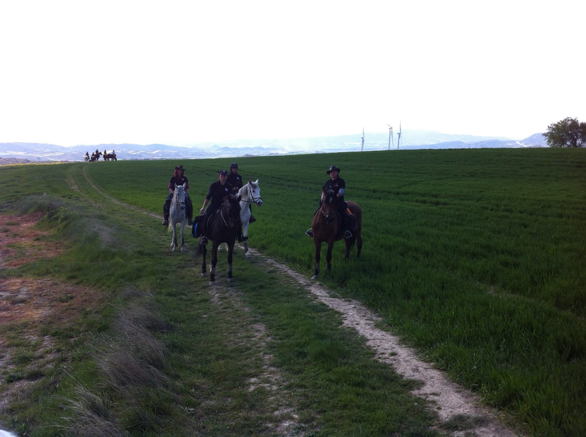 Camino del Rocío a través de Navarra